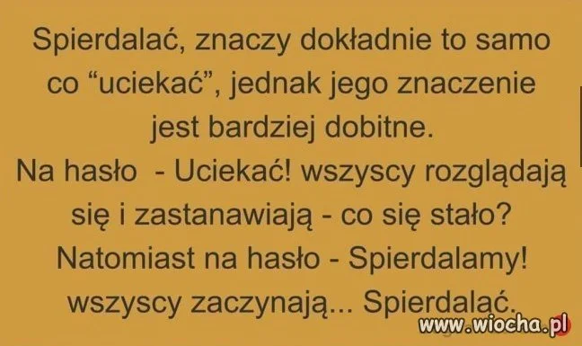 Ciekawostki