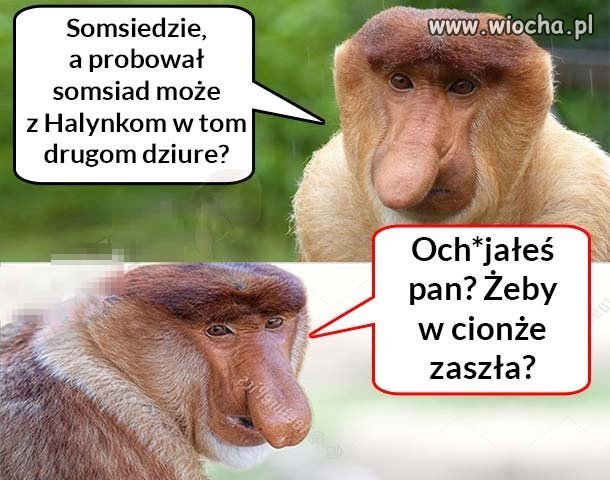 Somsiad