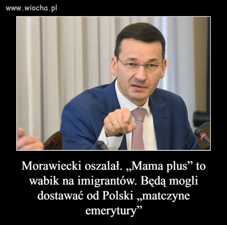 Nazjeżdża się tych inżynierów i lekarzy z całymi...