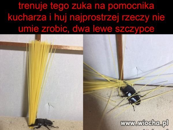 Mają pomysły