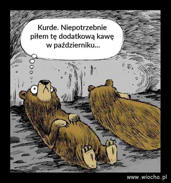 Czy wszystkie MISIE juz śpią?