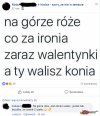 Pojechane