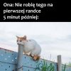Zasadowa