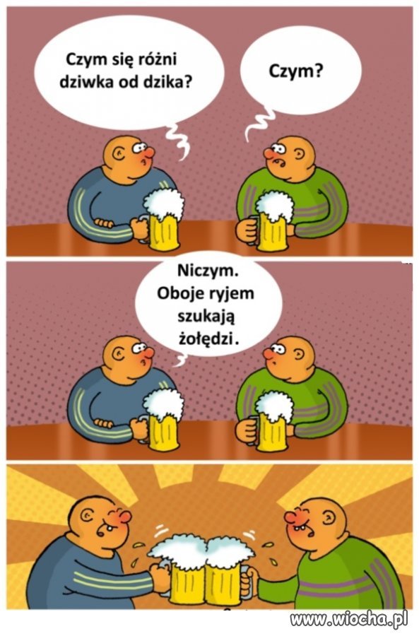 Czym się różni dziwka od dzika?