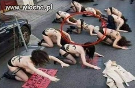 Feministki ją zhejtowały