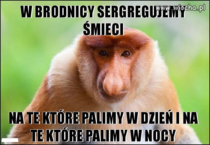 W BRODNICY SERGREGUJEMY ŚMIECI