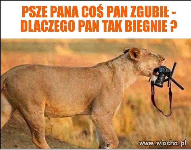 Coś pan