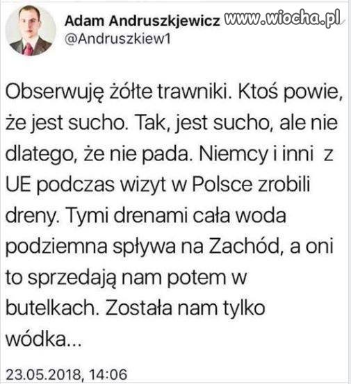 Zryty dzban