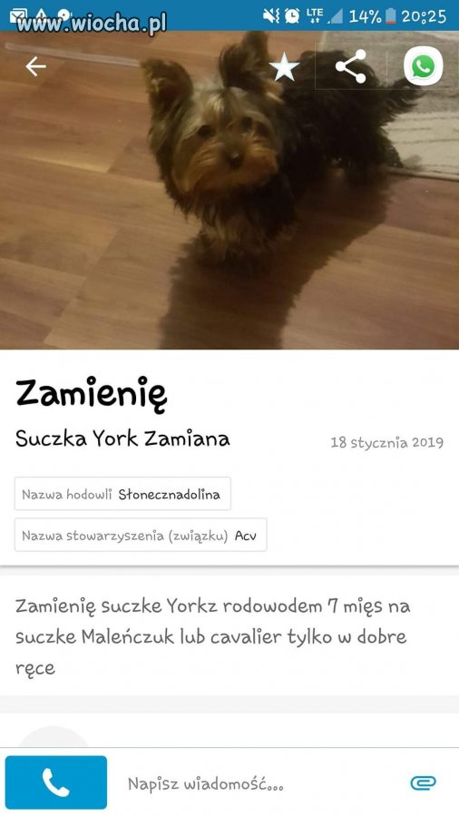 Wymienie pieska