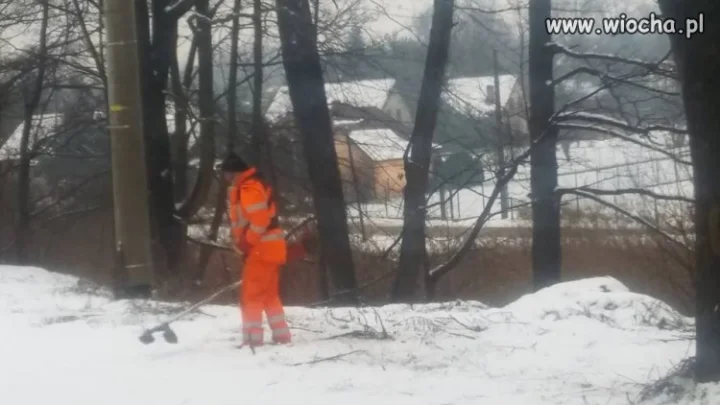 Zima zimą...