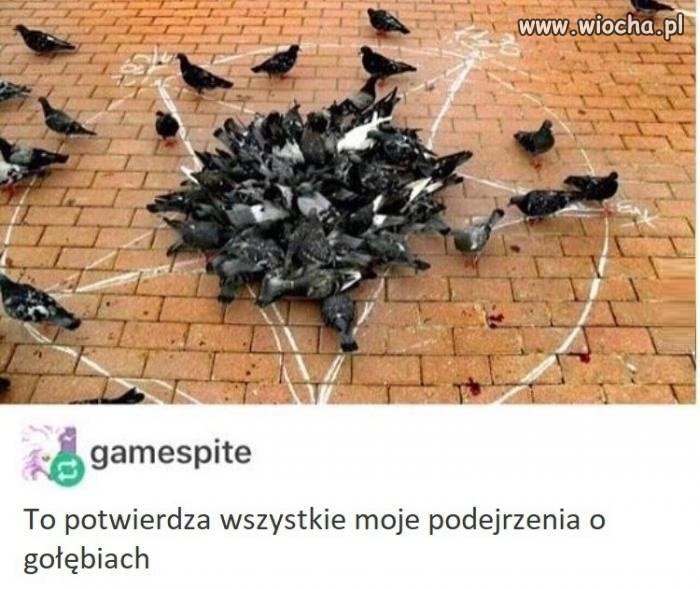 Zawsze to wiedziałem