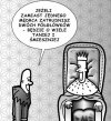 Co jedna głowa,