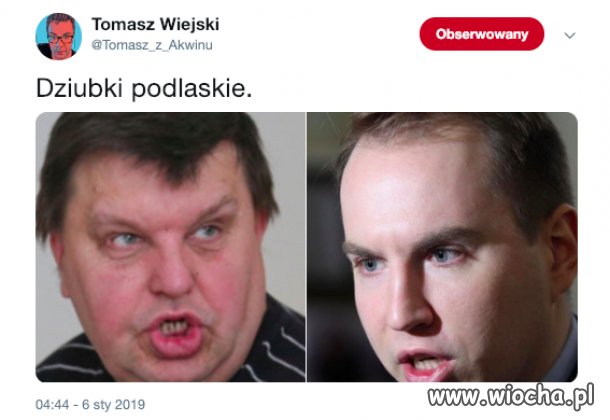 Dzióbki podlaskie.