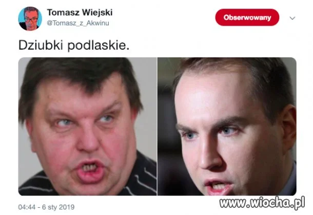 Dzióbki podlaskie.
