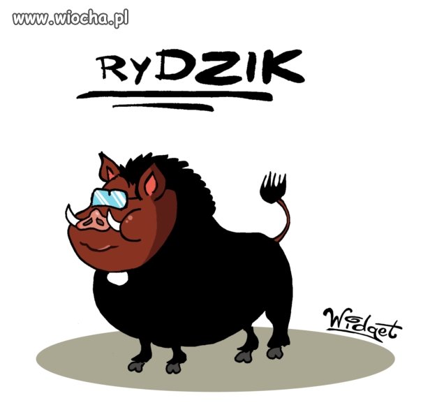 Rydzik