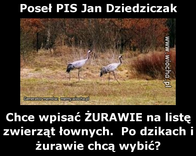 Poseł PIS Jan Dziedziczak