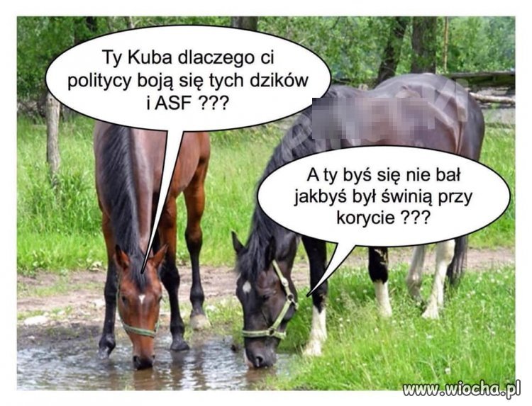 Z tym odstrzałem to jest tak jakby usunąć 200 tys