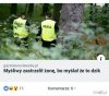 No i zaczyna się