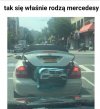 Narodziny merola 