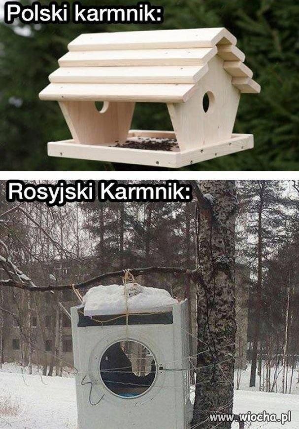 Dokarmianie ptaszków