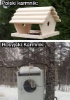 Dokarmianie ptaszków