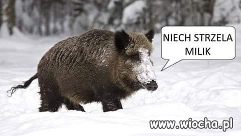 Jeśli już muszą strzelać