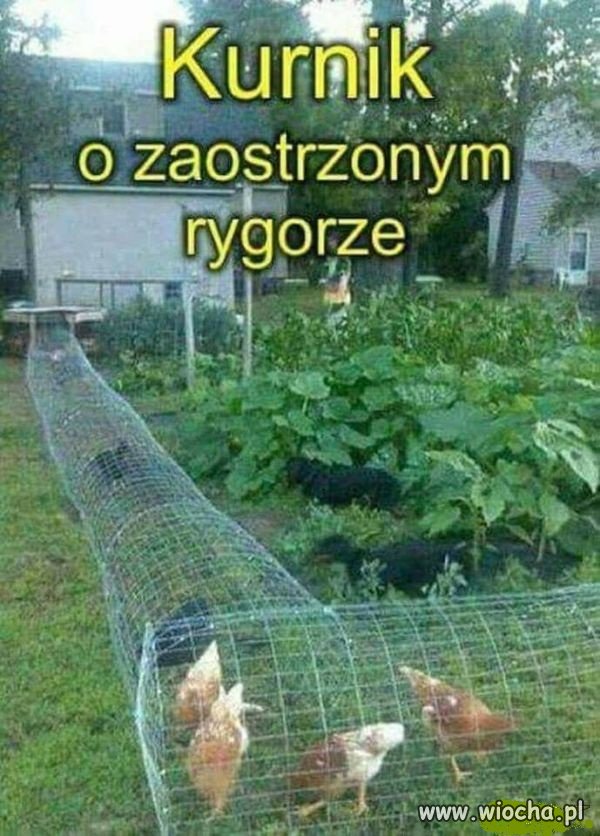 Dla szczególnie