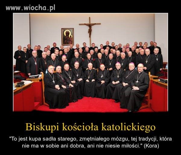 Nic dodać