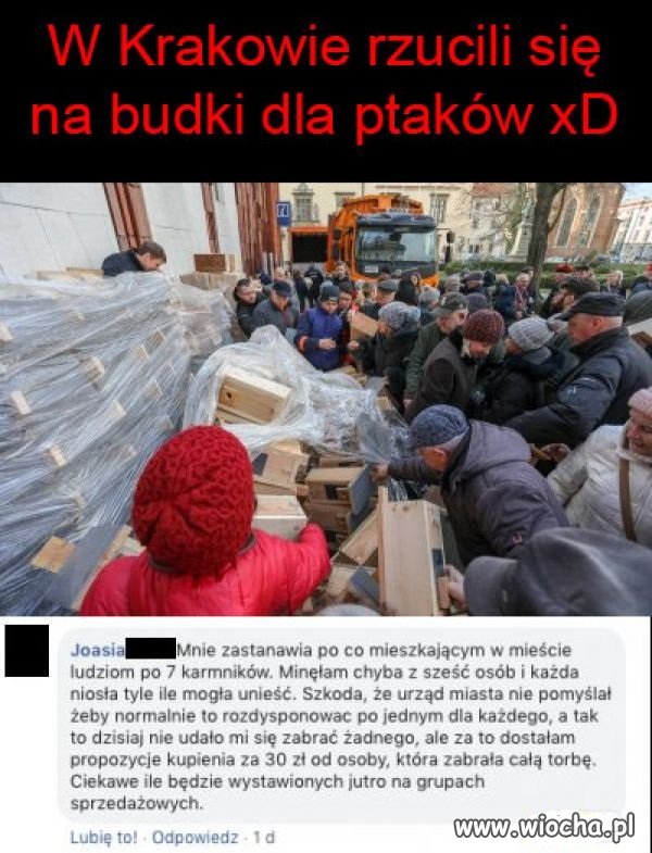 Nie tylko Chytra baba z Radomia.