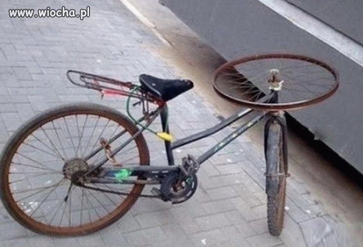 Krążownik szos i ścieżek rowerowych