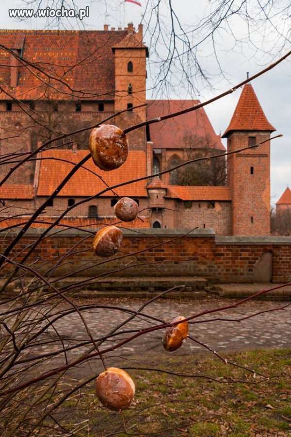 Wiosna idzie, pierwsze pączki już są