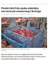 Metro Sztokholm: Polskie mięso z chorych zwierząt