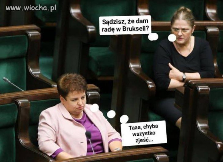 Eurokoryto +