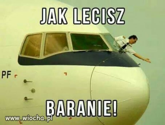 Widać że to nasz krajowy przewoźnik
