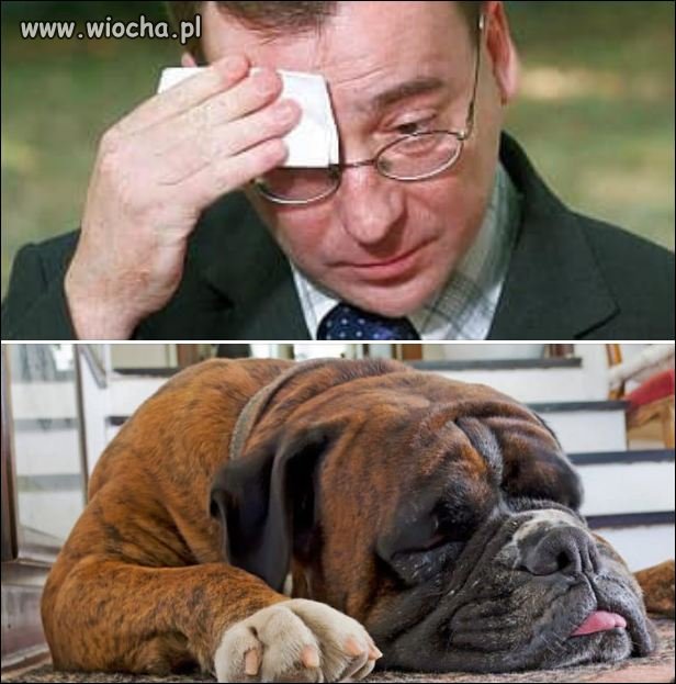 Każdemu wolno kochać.Świadek Rudnicki: