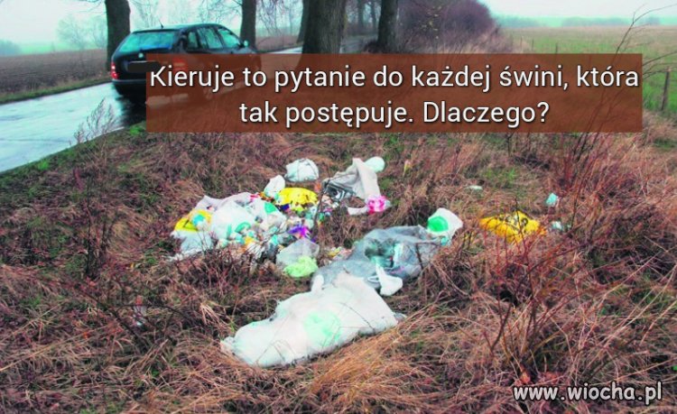 Coraz częściej spotykane zjawisko w moim regionie.