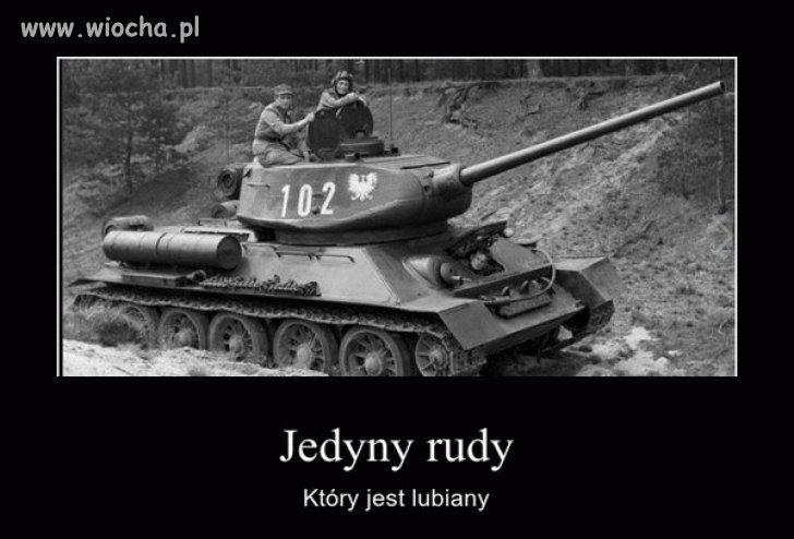 Jedyny