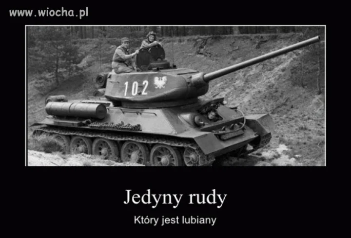 Jedyny