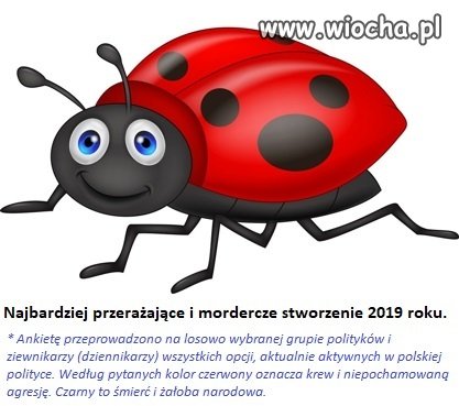 Bestia 2019
