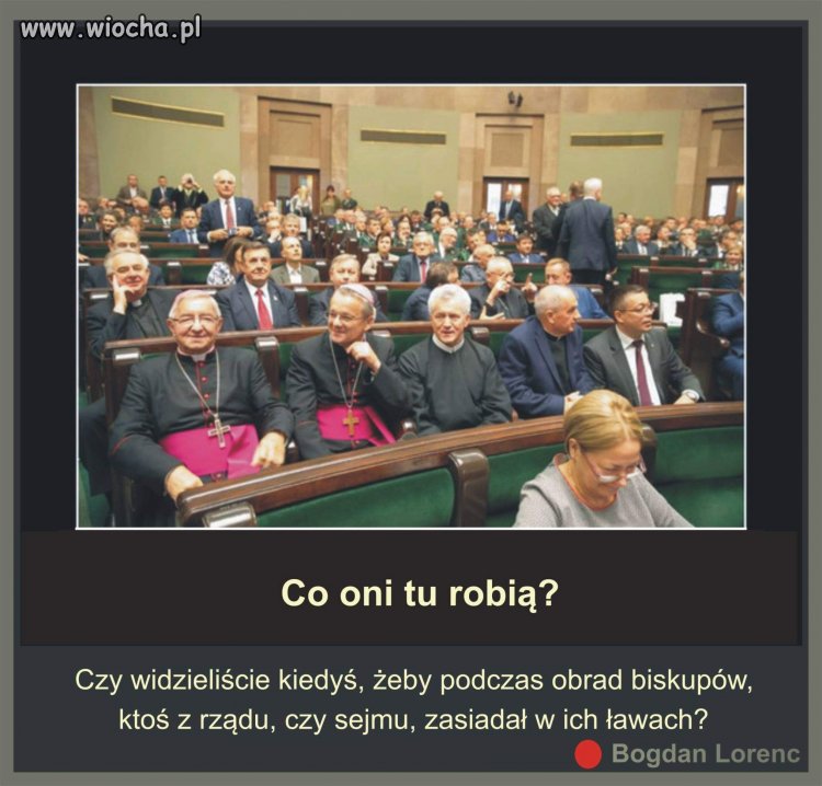 Co oni tam robią 