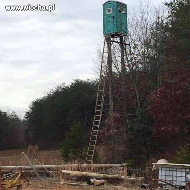 Toaleta? Blisko