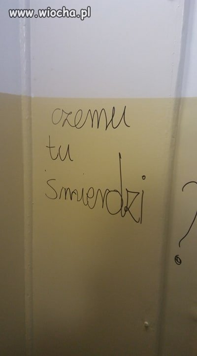 Odpisałabym debilowi "bo tobie z ryja wali"