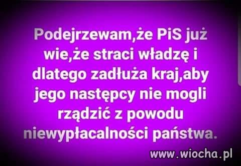 Coś w tym jest