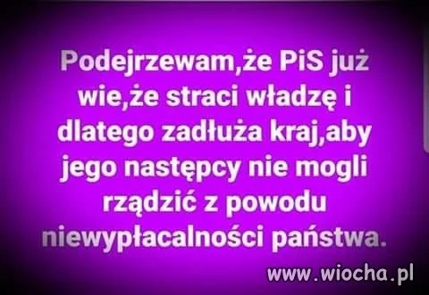 Coś w tym jest