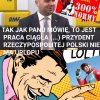 Pracowity jak duda