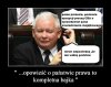 Rzekła Pchła Szachrajka :