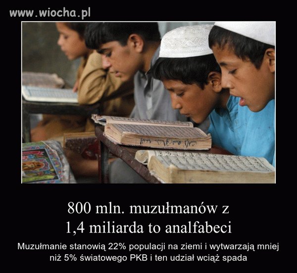 Komu oni potrzebni?