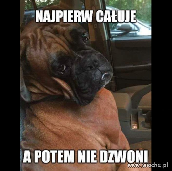 Kolejna seks afera w pis