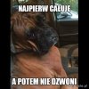 Kolejna seks afera w pis
