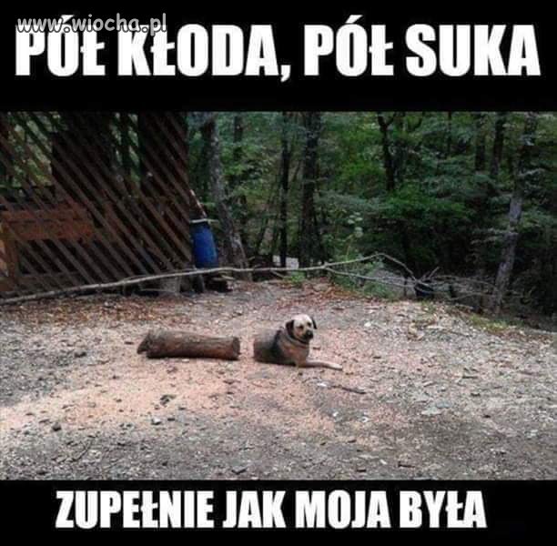 Wspomnienie byłej 